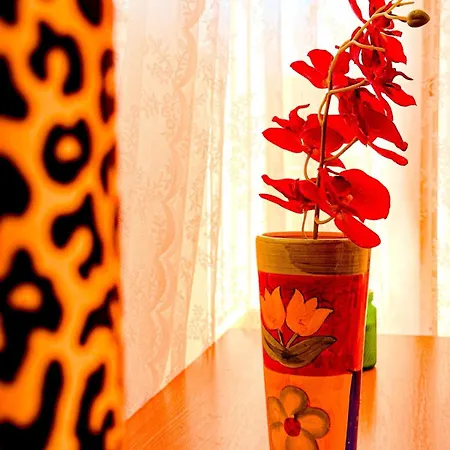 Nadja Apartment *